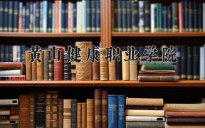 2024年黄山健康职业学院录取分数线，河北最低291分