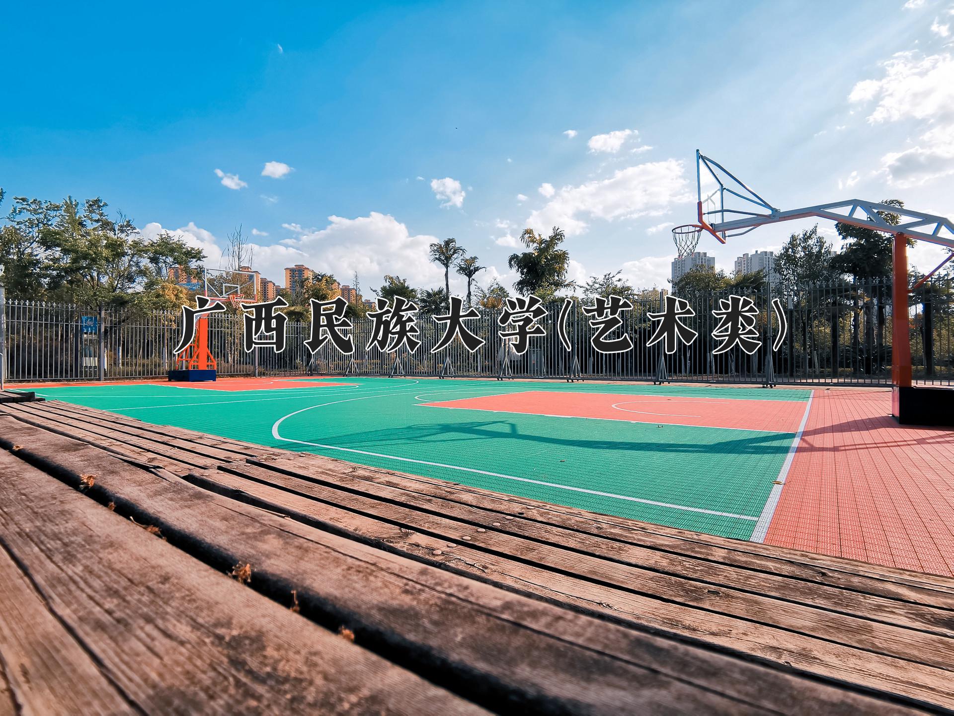 广西民族大学(艺术类)