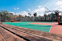 2024年广西民族大学(艺术类)录取分数线，河北最低508分