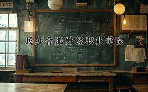 2024年民办合肥财经职业学院录取分数线，河北最低319分