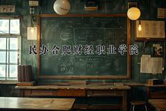 2024年民办合肥财经职业学院录取分数线，河北最低319分