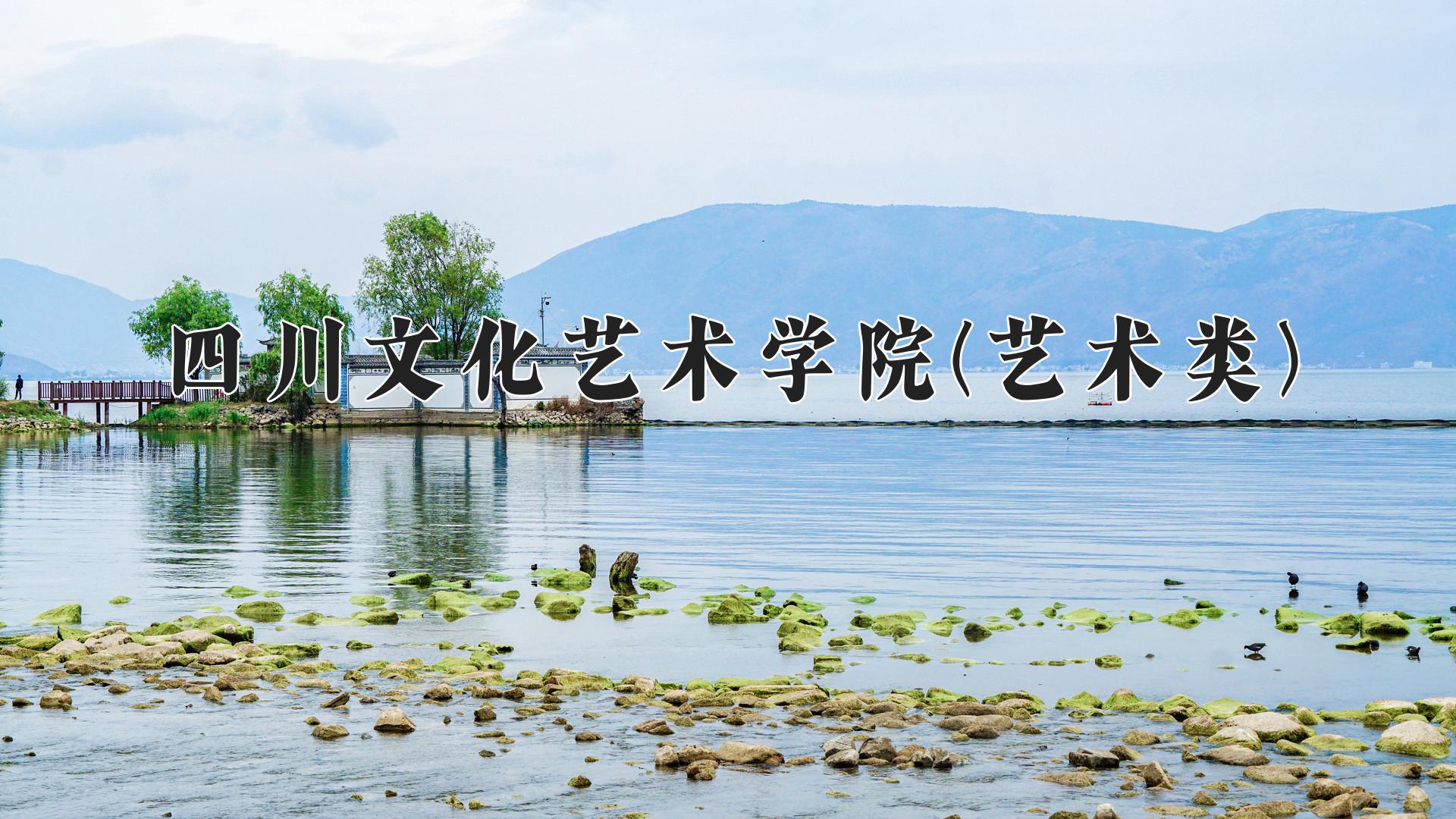 四川文化艺术学院(艺术类)