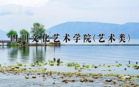 2024年四川文化艺术学院(艺术类)录取分数线，河北最低457分