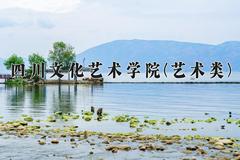 2024年四川文化艺术学院(艺术类)录取分数线，河北最低457分