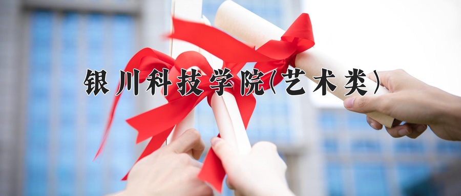银川科技学院(艺术类)