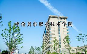 2024年呼伦贝尔职业技术学院录取分数线，河北最低321分