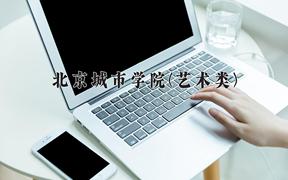 2024年北京城市学院(艺术类)录取分数线，河北最低478分