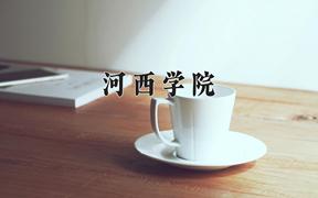 2024年河西学院录取分数线，河北最低485分