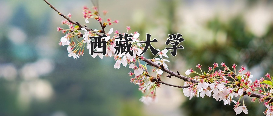 中国少数民族语言文学专业大学排名！附2025全国最新院校排行榜名单-第1张图片-索考网
