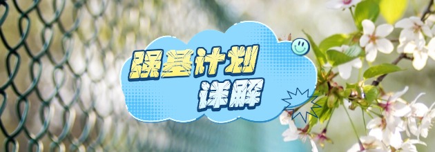 强基计划详解