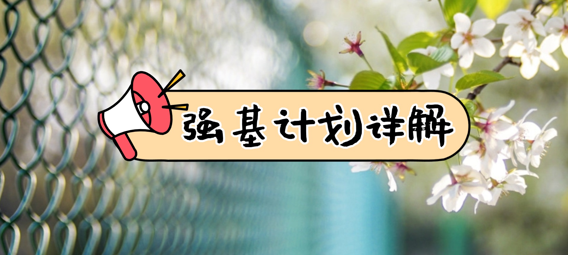 强基计划详解