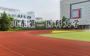 山东第二医科大学2024在河南录取分数线是多少？最低459分/最高533分