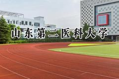 山东第二医科大学2024在河南录取分数线是多少？最低459分/最高533分