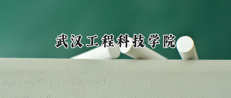武汉工程科技学院