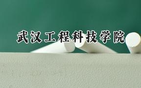 武汉工程科技学院2024在河南录取分数线是多少？最低188分/最高453分