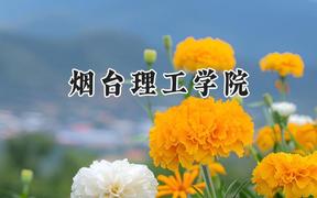 烟台理工学院2024在河南录取分数线是多少？最低318分/最高462分