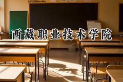 西藏职业技术学院2024在河南录取分数线是多少？最低260分/最高440分