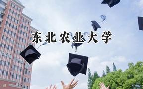 东北农业大学2024在河南录取分数线是多少？最低563分/最高600分