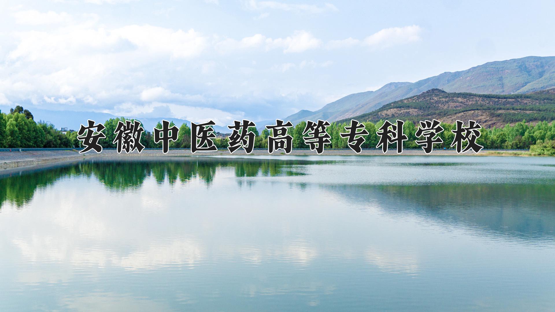 安徽中医药高等专科学校