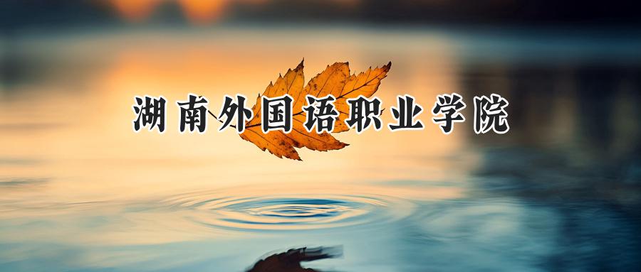 湖南外国语职业学院