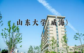 山东大学(威海)2024在陕西录取分数线是多少？最低579分/最高616分