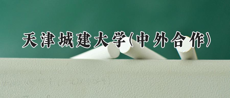 天津城建大学(中外合作)