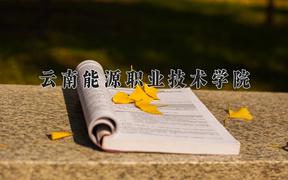 云南能源职业技术学院2024在陕西录取分数线是多少？最低304分/最高391分