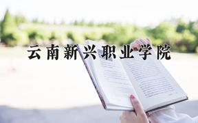 云南新兴职业学院2024在陕西录取分数线是多少？最低271分/最高360分