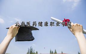 云南医药健康职业学院2024在陕西录取分数线是多少？最低333分/最高376分