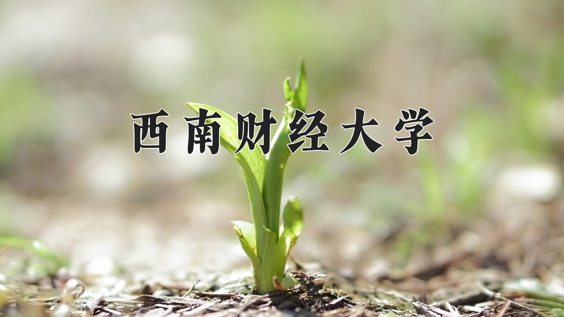 西南财经大学