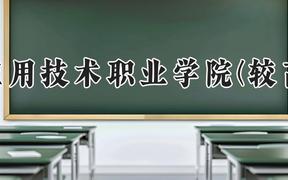 河南应用技术职业学院(较高收费)2024在河南录取分数线是多少？最低281分/最高315分