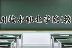 河南应用技术职业学院(较高收费)2024在河南录取分数线是多少？最低281分/最高315分