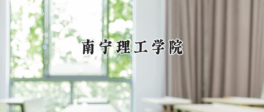 南宁理工学院