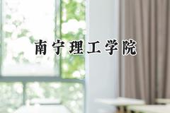 南宁理工学院2024在河南录取分数线是多少？最低408分/最高440分