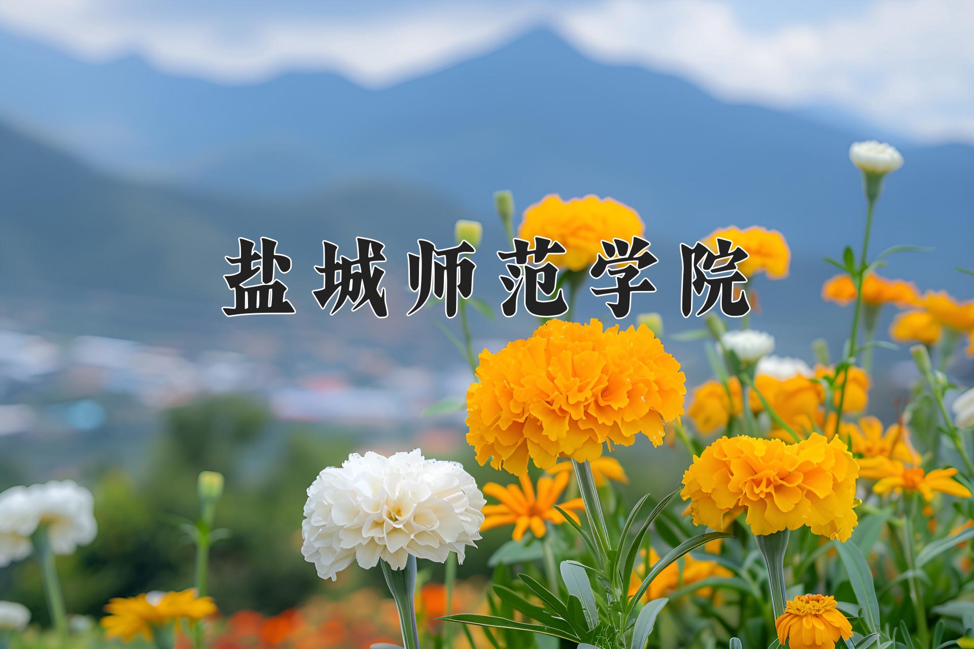 盐城师范学院