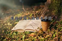 潍坊环境工程职业学院2024在陕西录取分数线是多少？最低201分/最高379分