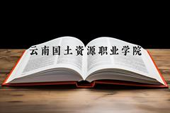 云南国土资源职业学院2024在陕西录取分数线是多少？最低322分/最高379分