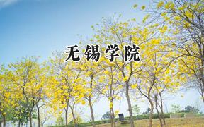 无锡学院2024在河南录取分数线是多少？最低519分/最高543分