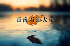 西南石油大学2024在陕西录取分数线是多少？最低526分/最高572分