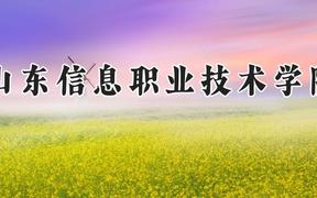 山东信息职业技术学院2024在河南录取分数线是多少？最低345分/最高382分