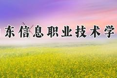 山东信息职业技术学院2024在河南录取分数线是多少？最低345分/最高382分