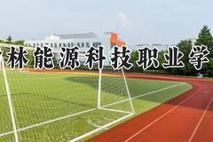 榆林能源科技职业学院2024在河南录取分数线是多少？最低264分/最高311分