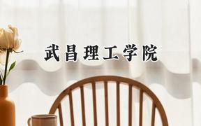 武昌理工学院2024在河南录取分数线是多少？最低314分/最高478分