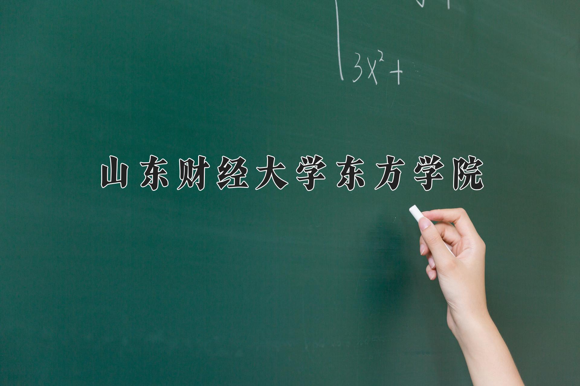 山东财经大学东方学院