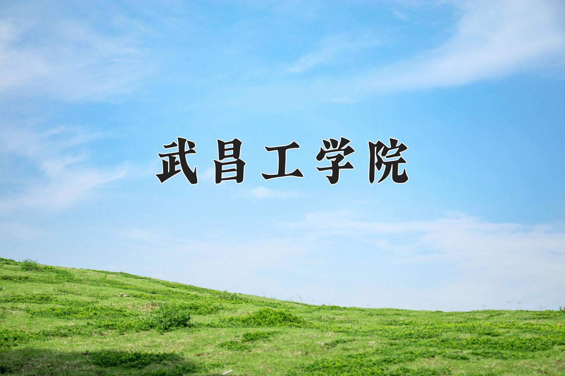 武昌工学院