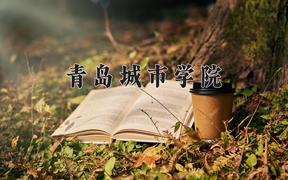 青島城市學(xué)院2024在陜西錄取分數(shù)線是多少？最低381分/最高445分