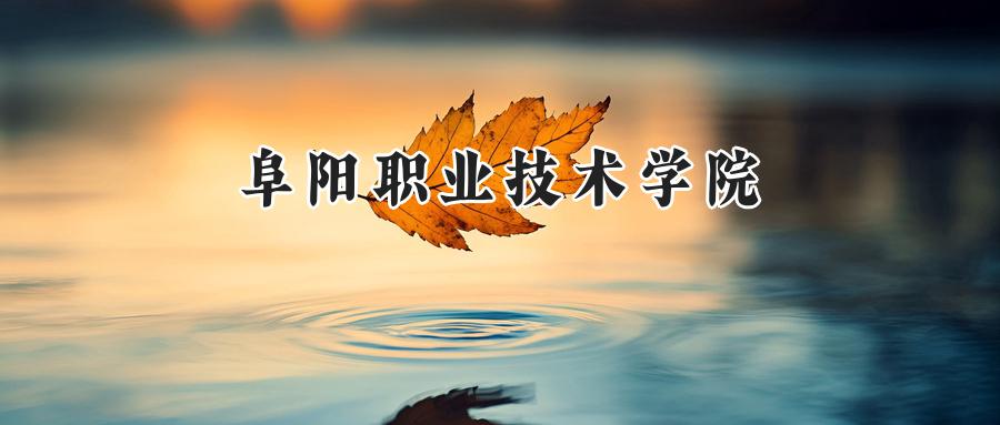 阜阳职业技术学院