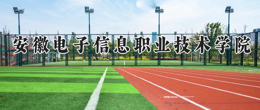 安徽电子信息职业技术学院