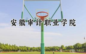安徽审计职业学院2024在河南录取分数线是多少？最低374分/最高393分