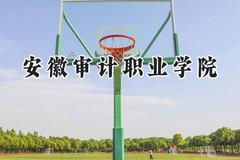 安徽审计职业学院2024在河南录取分数线是多少？最低374分/最高393分